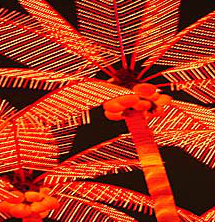 The Bamboo Bar